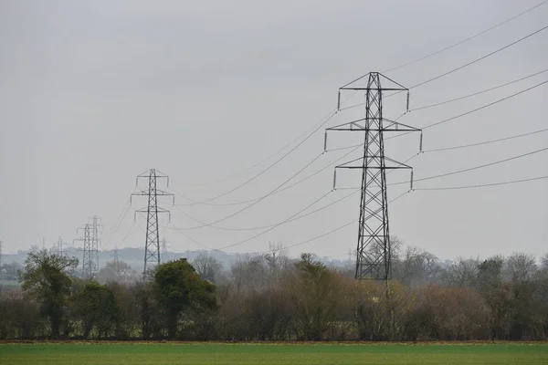 Power line leading through field and forest