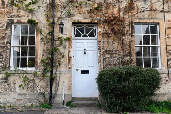 House Exterior Beige Facade Fresh Green Plants — Stock Photo, Image