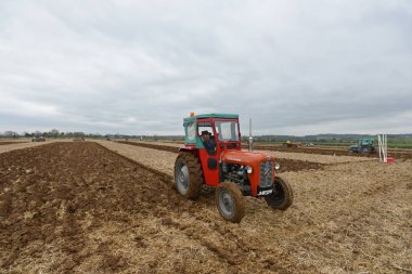 Wingfield, İngiltere - 4 Nisan 2014: plough tarım arazileri alanın içinden çekerek vintage traktör.