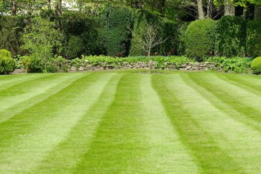 Doğal görünümü ile huzurlu bahçe taze çim Mowed
