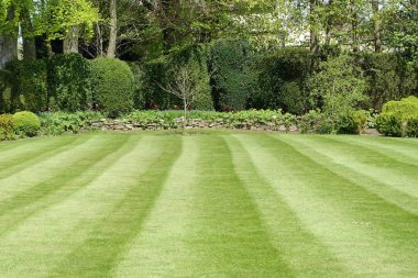 Doğal görünümü ile huzurlu bahçe taze çim Mowed