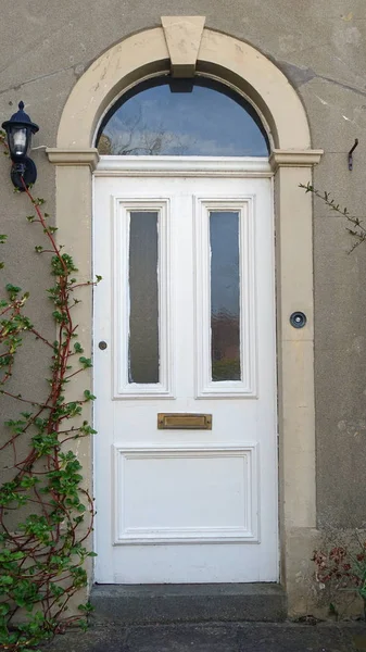 Elegante Porta Casa Colore Bianco Cespuglio — Foto Stock