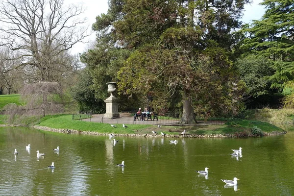 View Pond Swimming Gulls People Resting Bench Park — Stock Photo, Image