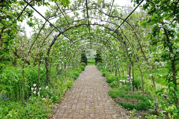 Vista Panoramica Del Sentiero Attraverso Giardino Verde — Foto Stock