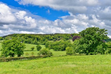 Geniş Açık Yeşil Çimen Tarlası Manzarası