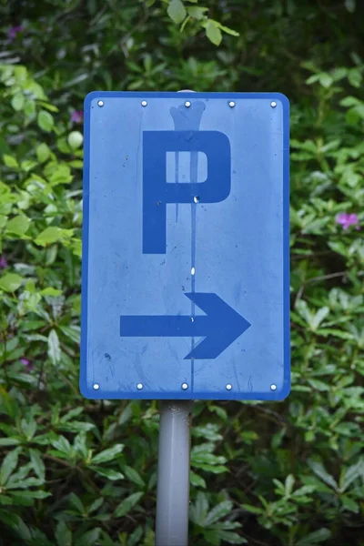 View Letter Parking Sign Lush Green Foliage — Stok Foto