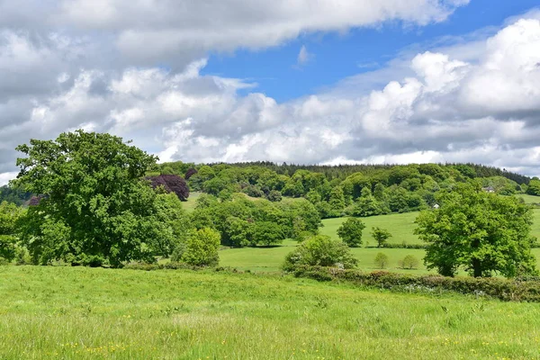 Scenic View Wide Green Grass Farm Field Landscape — Stockfoto