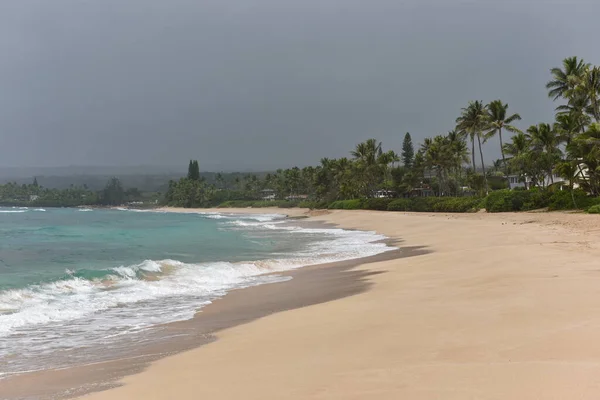 热带海滩 有棕榈树和大海 — 图库照片