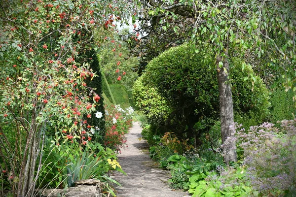 Belo Jardim Com Flores Plantas — Fotografia de Stock