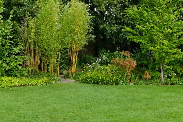 Hermoso Jardín Con Flores Plantas — Foto de Stock