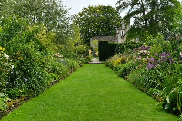 Beau Jardin Avec Fleurs Plantes — Photo