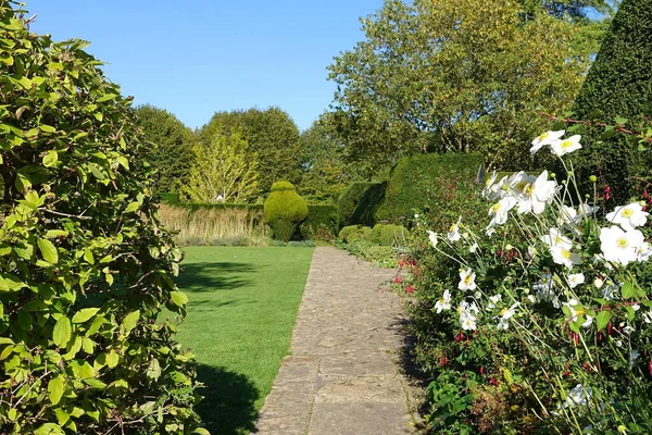 Schöner Garten Mit Blumen Und Pflanzen — Stockfoto