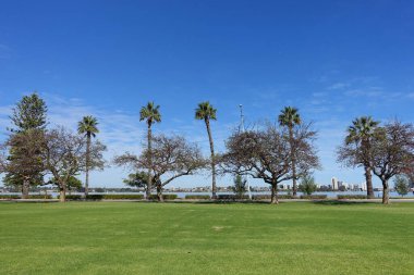 Yazın ağaçlı golf sahası