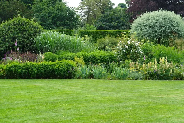 Schöner Garten Mit Grünen Pflanzen — Stockfoto