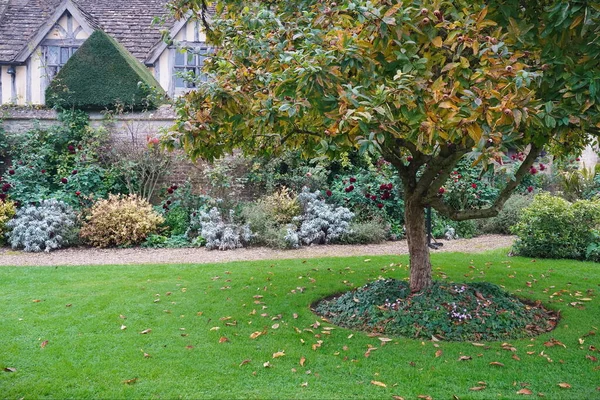 Schöner Garten Mit Blumen Und Pflanzen — Stockfoto