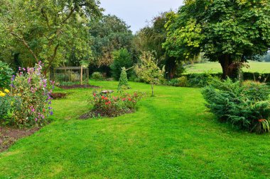 Yaz parkındaki yeşil bitkiler.