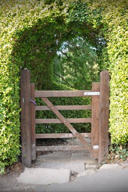 Parktaki ahşap bank.