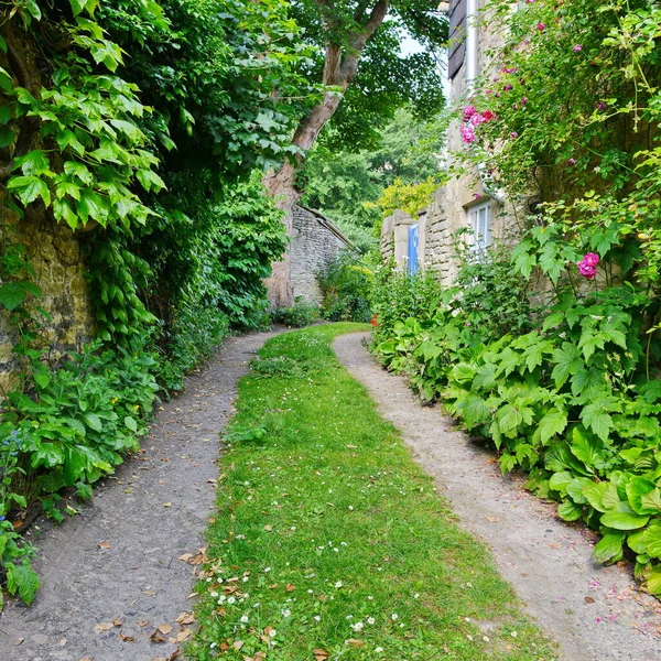 Mooie Tuin Het Park — Stockfoto