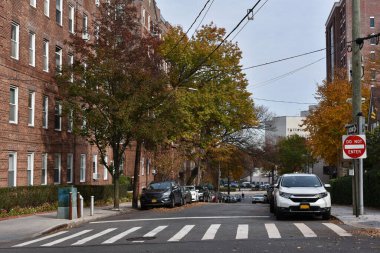 Sonbahar sezonunda şehir parkındaki yol manzarası