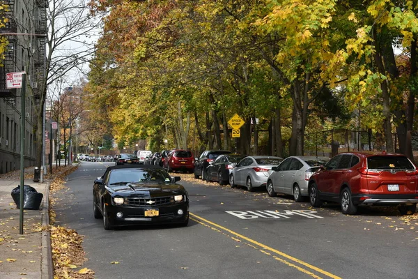 Vista Una Carretera Parque Ciudad Temporada Otoño — Foto de Stock