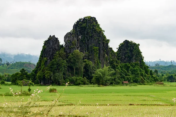 Big mountains surrounded by rice field — Stock Photo, Image