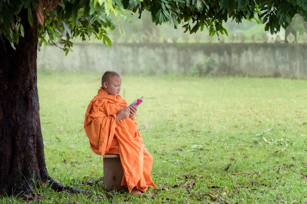 Budhist novato monje leyendo bajo gran árbol — Foto de Stock