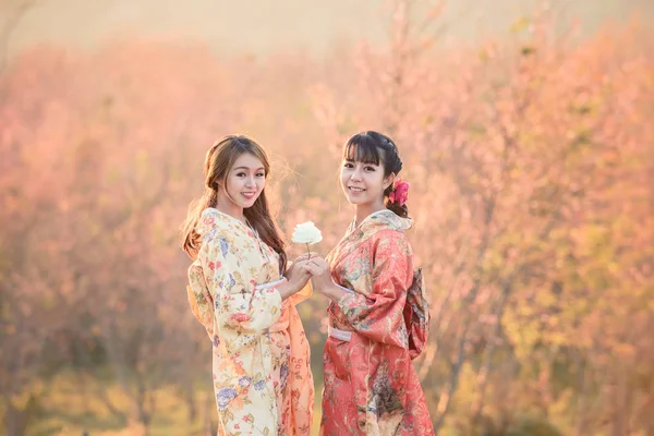 Портрет азиатских (японских) девушек Стоковое Изображение