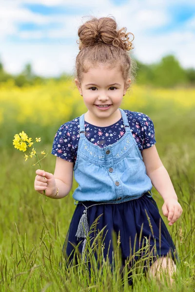 Linda menina doce feliz mulher bonita no campo de colza florescendo na primavera Fotos De Bancos De Imagens