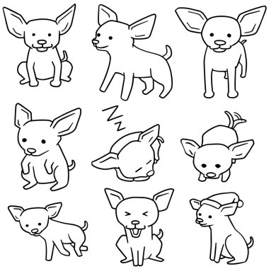 vektör kümesi köpek, chihuahua