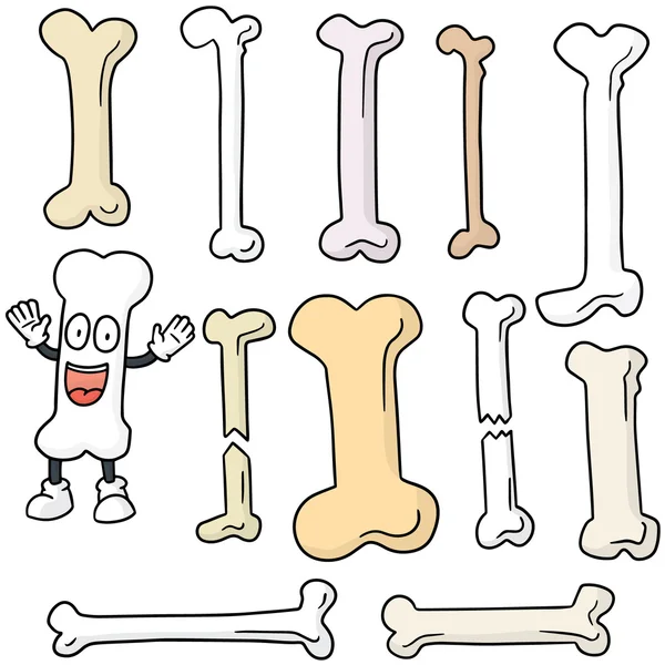 Vector set of bone — Stock Vector