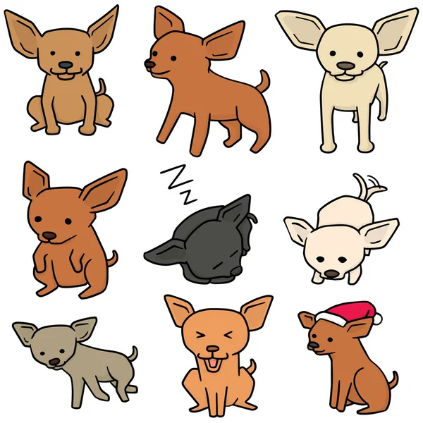 Jeu vectoriel de chien, chihuahua — Image vectorielle