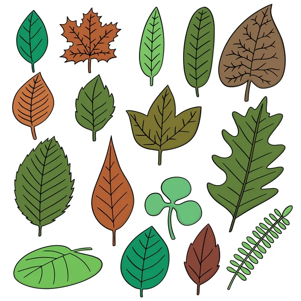Векторный набор листьев — стоковый вектор