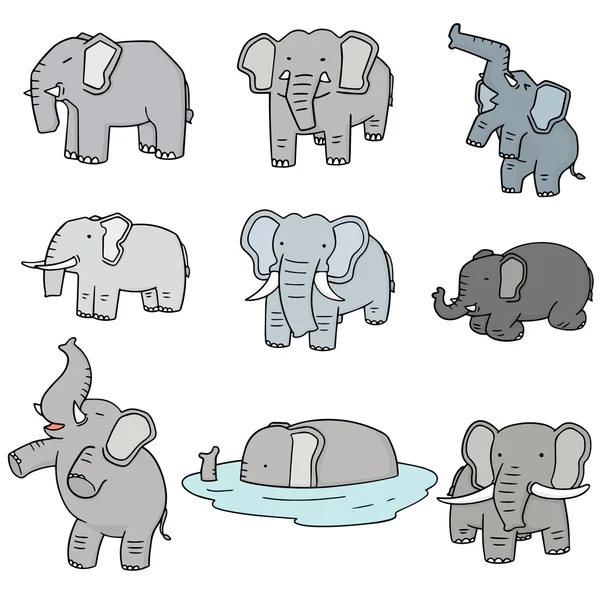 Vector conjunto de elefante — Archivo Imágenes Vectoriales