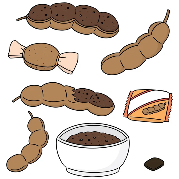 Vector set of tamarind product — Stock vektor