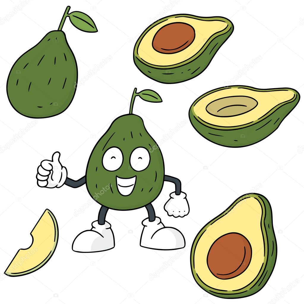 vector set of avocado