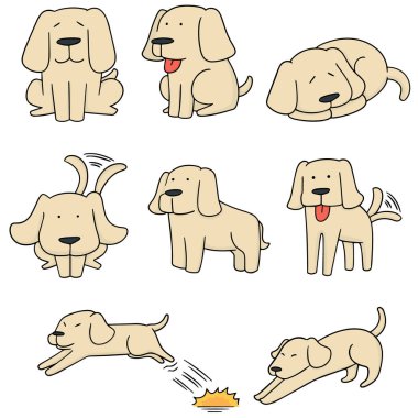 vektör set köpek, labrador geri almak