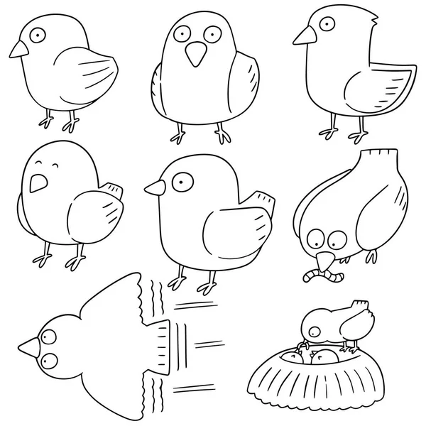 Vector set of bird — Stock Vector