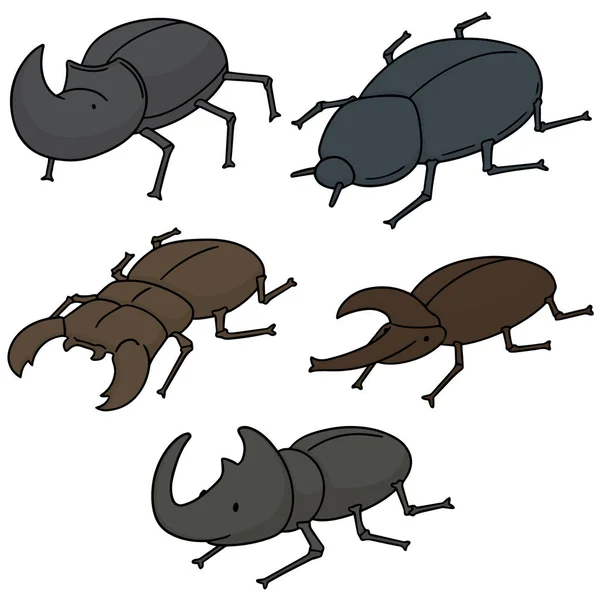 Vector set of beetle — Stock Vector