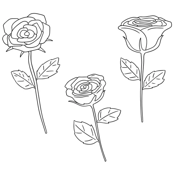 Vector set of rose — Stock Vector