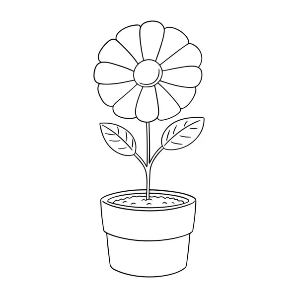 Vektor Set von Blume — Stockvektor