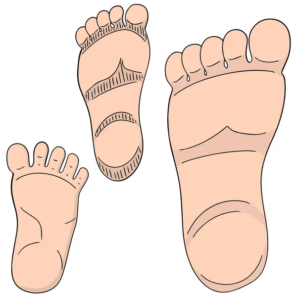 Vector conjunto de suela del pie — Archivo Imágenes Vectoriales