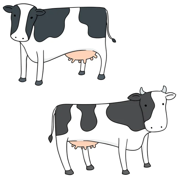 Insieme vettoriale di vacca — Vettoriale Stock