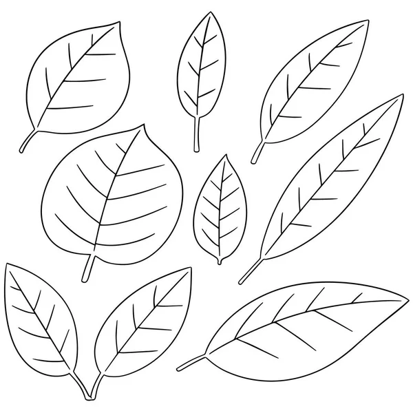 Conjunto vectorial de hojas — Archivo Imágenes Vectoriales