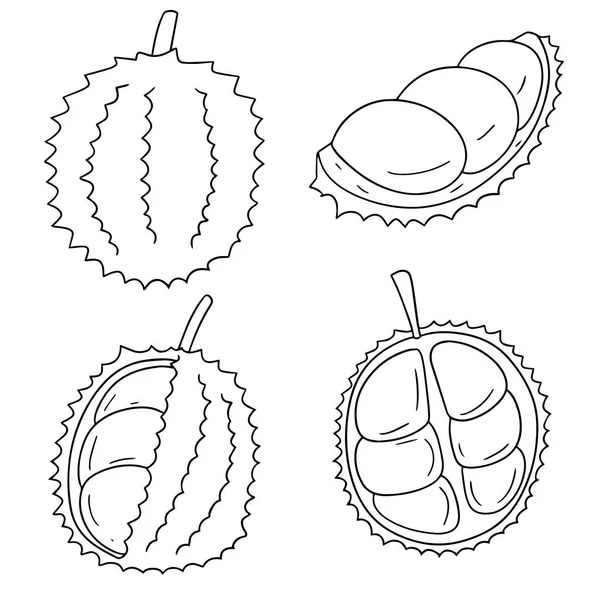 Insieme vettoriale di durian — Vettoriale Stock