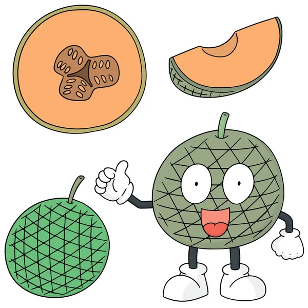 Vector uppsättning melon — Stock vektor