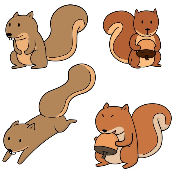 Vector set of squirrel — Stock Vector