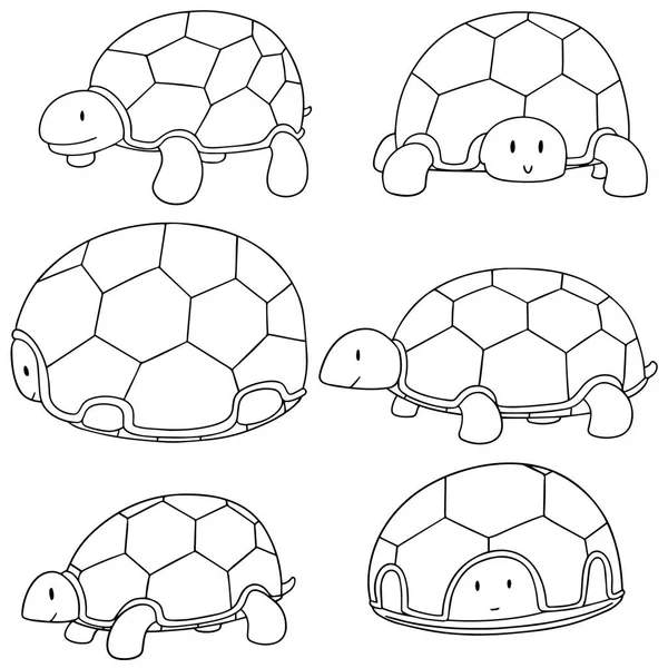 Insieme vettoriale di tartaruga — Vettoriale Stock