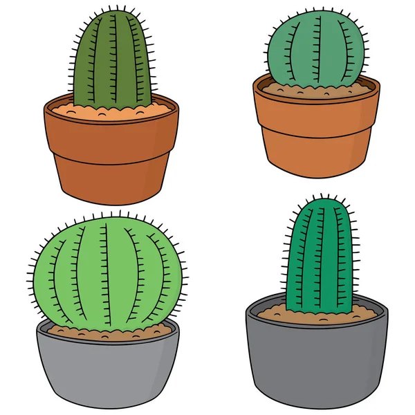 Vector set of cactus — Stock Vector