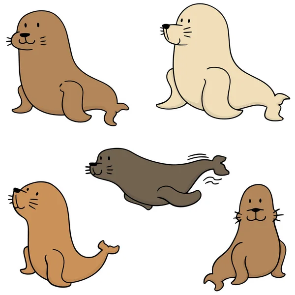 Vector set of sea lion — Stock Vector