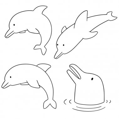 Yunus vektör kümesi